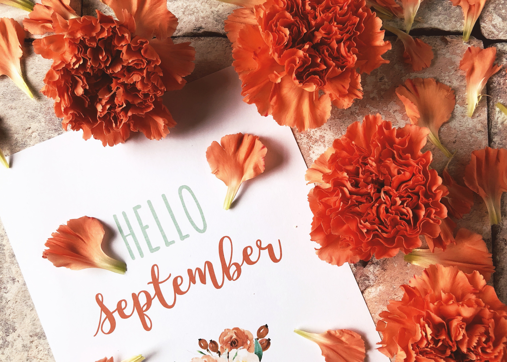 5 Mindful Practices to Try in September for Inner Calm