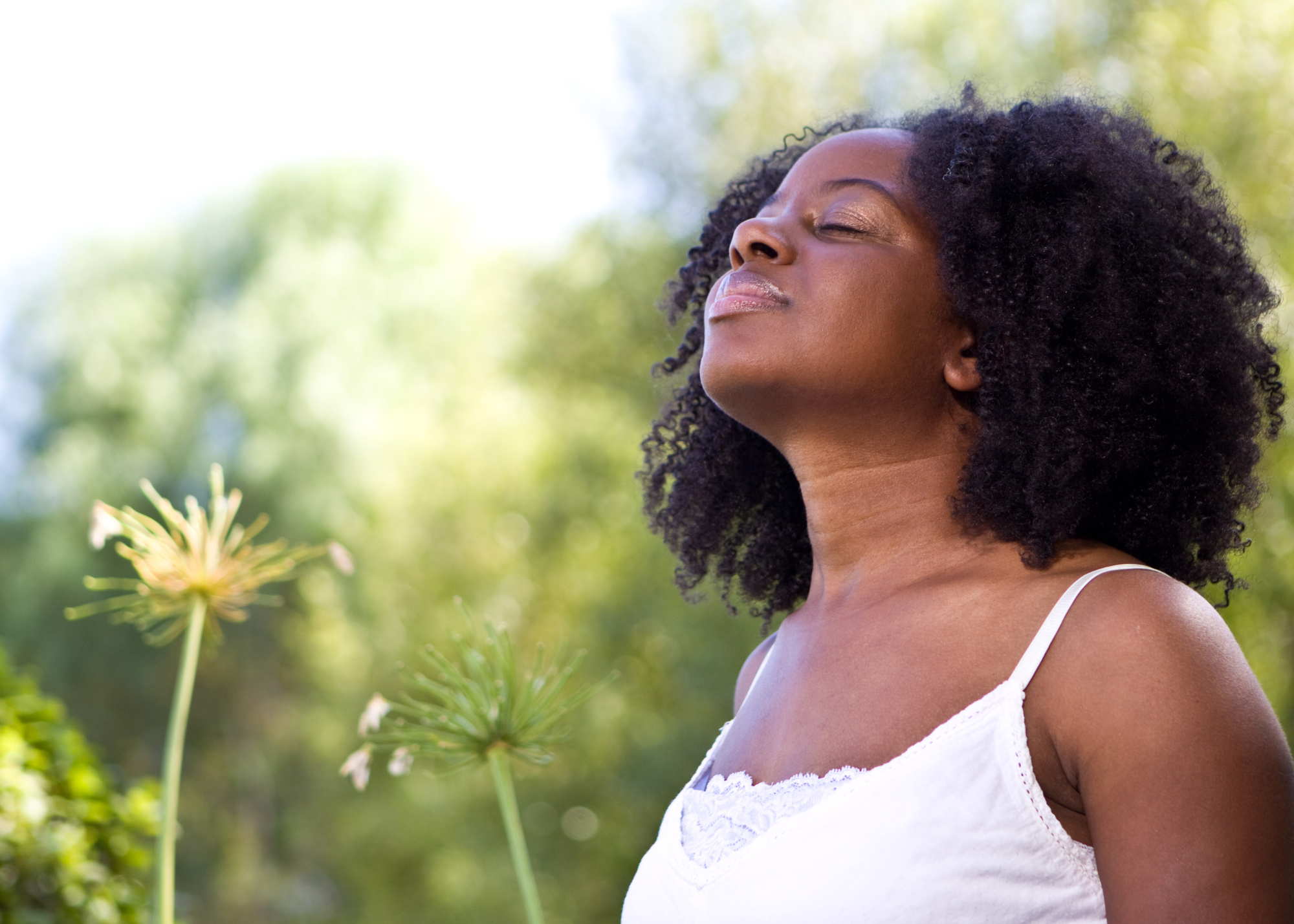 Silence Speaks: Using Meditation to Overcome Creative Blocks