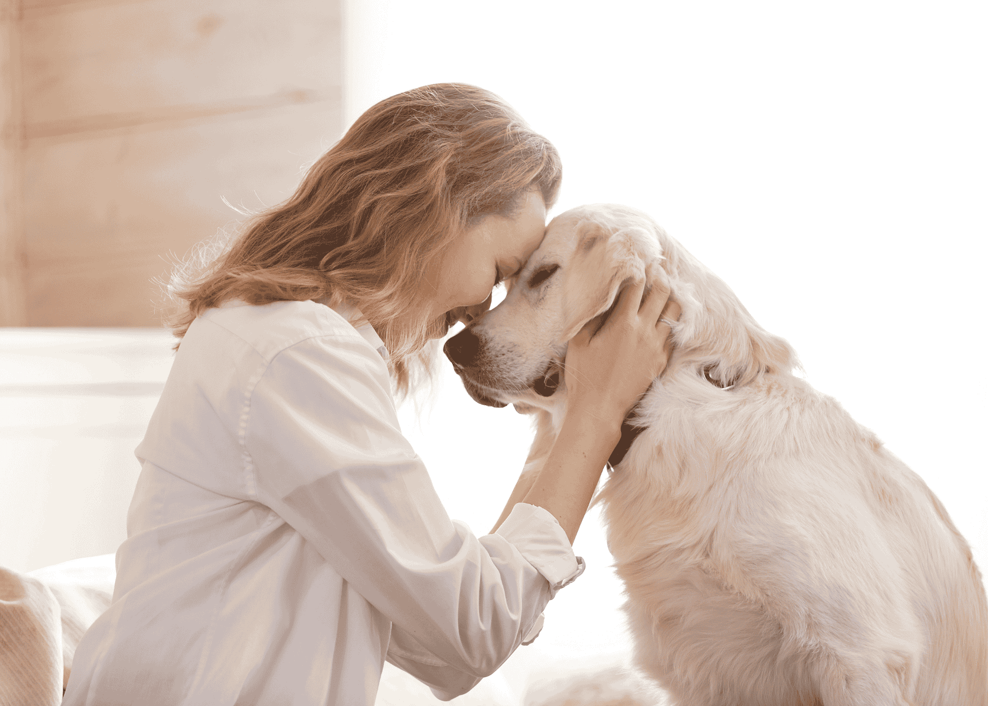 Why Time with Pets Reduces Stress and Loneliness
