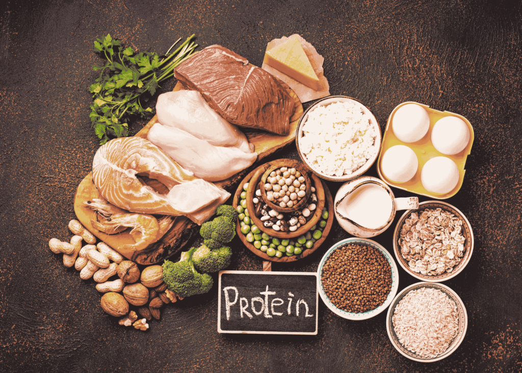 protein and muscle preservation