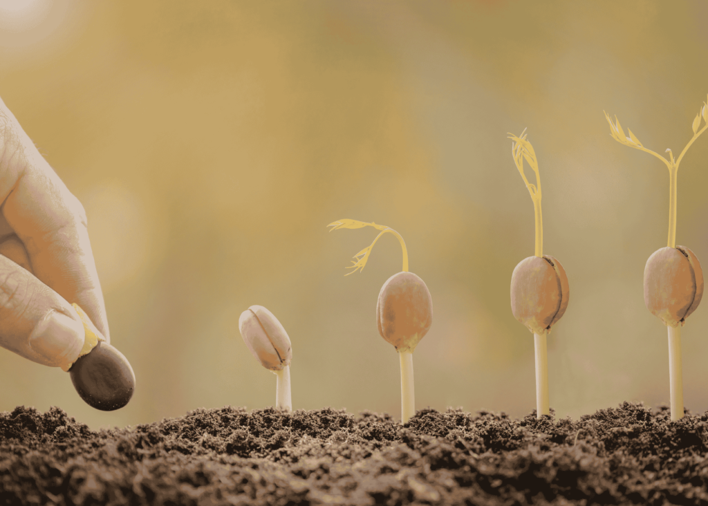slowing down for personal growth