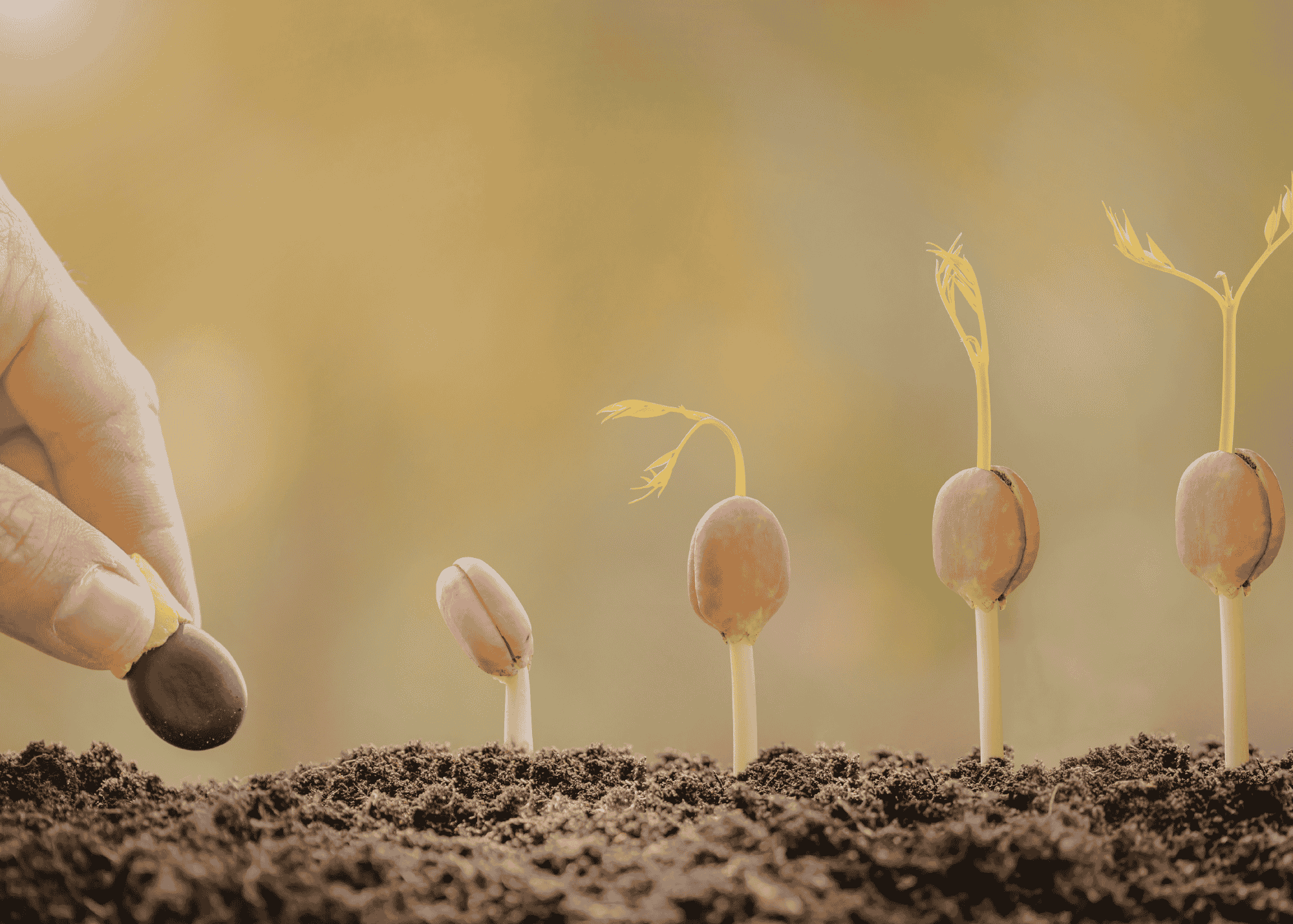 Why Personal Growth Often Begins with Slowing Down