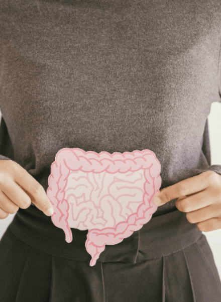 Probiotics for Gut Health