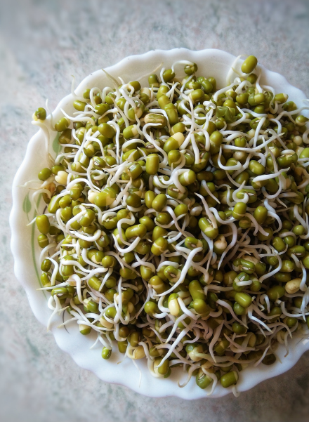 The Benefits of Sprouts